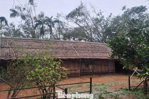 Nhà tranh Bác Hồ ở Làng Sen đứng vững trước bão số 10