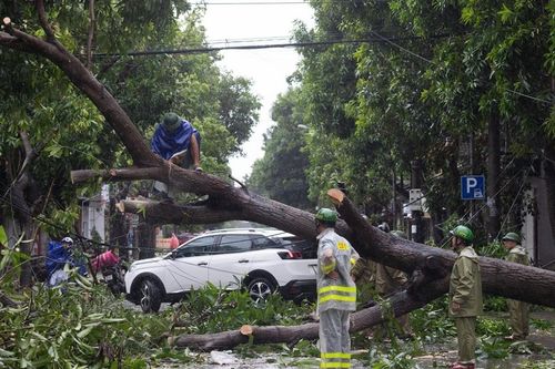 Nghệ An tan hoang sau bão số 10