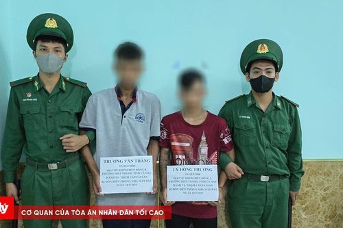 Bắt các đối tượng trộm cắp tài sản điện gió