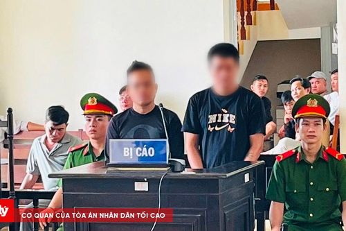 Tổ chức đá gà ăn tiền, hai bị cáo lĩnh án