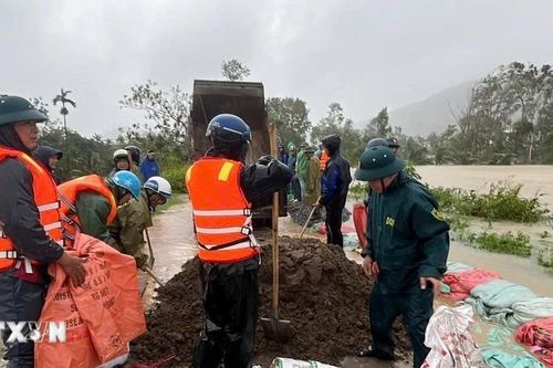 Thanh Hóa huy động gần 300 người gia cố tuyến đê bảo vệ hơn 1.700 hộ dân