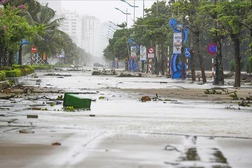 Thanh Hóa tan hoang sau bão số 10