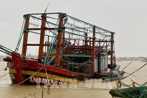 Quảng Trị: Nhiều thiệt hại nặng nề do bão số 10 gây ra