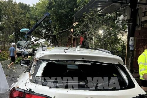 Mưa bão gây một số thiệt hại tại Lào Cai