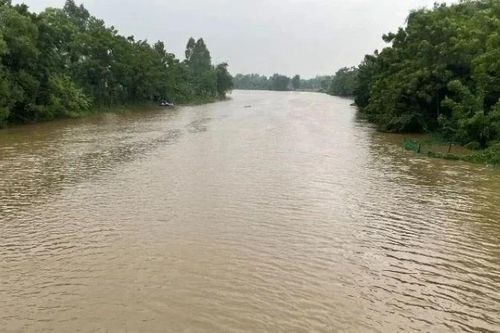 Tăng mức báo động III trên sông Yên, các địa phương chủ động phương án sơ tán dân sinh sống ở vùng bãi sông