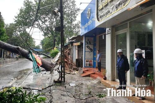 Bão số 10 khiến gần 338.000 khách hàng sử dụng điện bị ảnh hưởng