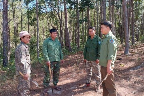 Gia Lai kéo giảm số vụ vi phạm Luật Lâm nghiệp