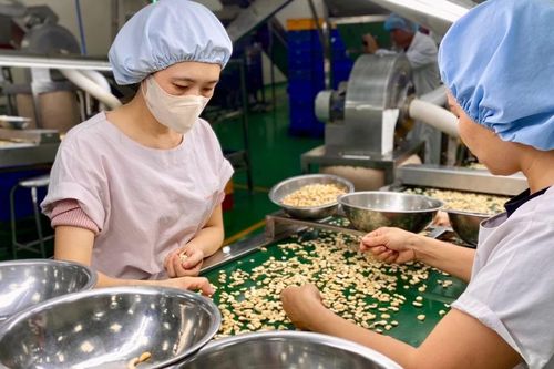 Gia Lai thu hút 144 dự án đầu tư trong 9 tháng đầu năm 2025