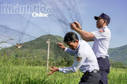 Phản hồi loạt bài phóng sự 'Quyết liệt bảo vệ quần thể chim yến': UBND tỉnh Khánh Hòa yêu cầu các địa phương khẩn trương thành lập Tổ phản ứng nhanh về bảo vệ chim yến