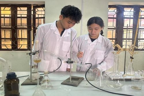 Nghiên cứu kháng ung thư từ dầu hồi