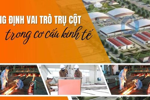 Khẳng định vai trò trụ cột trong cơ cấu kinh tế