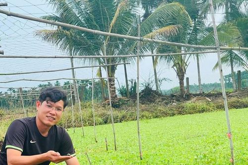 Giám đốc trẻ biến trại ốc thành điểm đến du lịch xanh