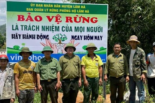 Chung sức giữ màu xanh Đam Rông