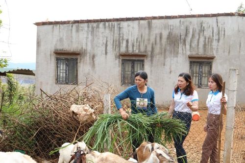 Đức An chăm lo đời sống Nhân dân, không để ai bị bỏ lại phía sau