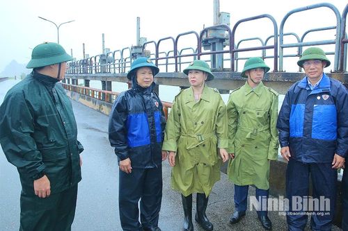 Đồng chí Phó Bí thư Thường trực Tỉnh ủy Đinh Thị Lụa kiểm tra công tác phòng, chống bão số 10