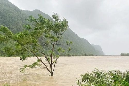 Bão số 10 gây mưa lớn và thiệt hại tại khu vực Hòa Bình