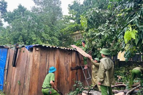 Xung kích trên tuyến đầu chống bão