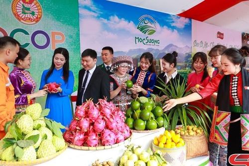 Không khí sôi động, lan tỏa niềm tin từ các hoạt động bên lề Đại hội đại biểu Đảng bộ tỉnh Sơn La lần thứ XVI