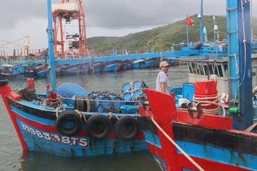 Gia Lai: Hai tàu cá gặp nạn trên biển, một tàu mất liên lạc