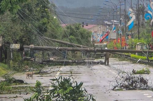 Hơn 1,8 triệu gia đình ở Thanh Hóa, Nghệ An, Hà Tĩnh mất điện do bão