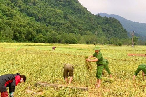 Công an Thanh Hóa xuyên đêm trực chiến với bão số 10