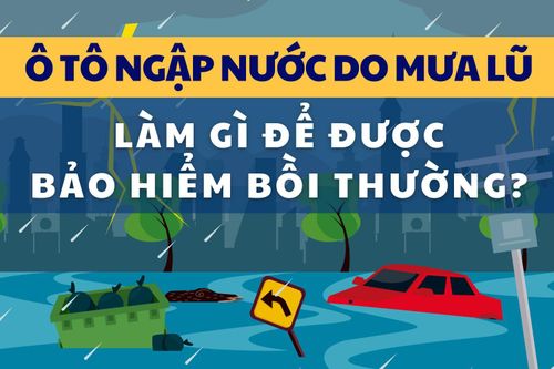Ô tô ngập nước do mưa lũ: Làm gì để được bảo hiểm bồi thường?