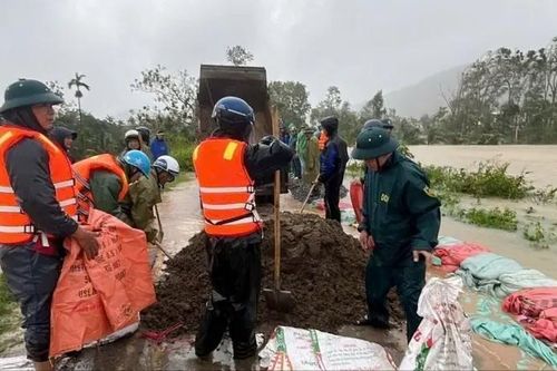 Gần 300 người gia cố tuyến đê bảo vệ 1.700 hộ dân