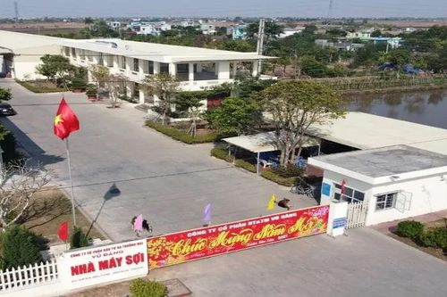 SVD giải trình khi cổ phiếu tăng 37%/tuần dù lỗ hơn 15 tỷ