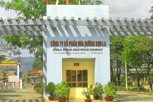 Vượt xa kế hoạch, Mía đường Sơn La (SLS) chốt chi gần 150 tỷ đồng trả cổ tức tỷ lệ 150%