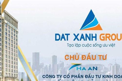 Lỗ lũy kế 263 tỷ, công ty con giữ vai trò quan trọng của Đất Xanh (DXG) vẫn được bơm thêm vốn khủng