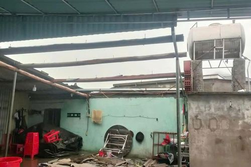 Nơi 'cuồng phong' Bualoi quét qua: 'Bão đổ bộ quá nhanh, gió rít khủng khiếp'
