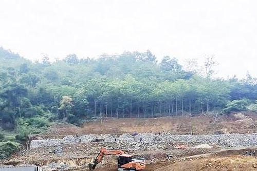 Tiến độ rà soát rừng ở Hà Nội vẫn ì ạch