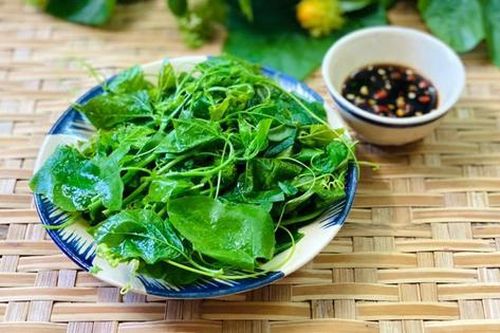 Rau đặc sản mọc tua tủa ở miền Bắc, ăn giòn ngon như ngọn bí, đặc biệt tốt cho người bị mất ngủ