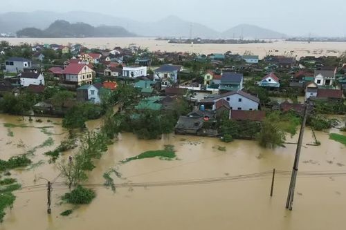 Ứng phó khẩn cấp hàng loạt sự cố đê điều