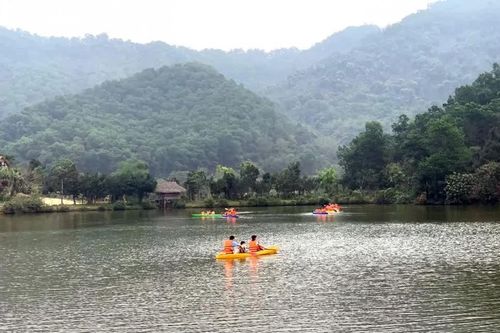 Hà Nội đẩy mạnh thực hiện dịch vụ môi trường rừng