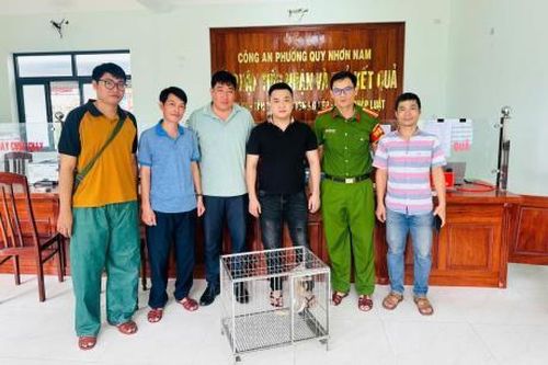 Giải cứu tê tê