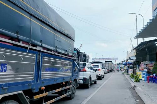 Xây dựng cầu Đình Khao vượt sông Cổ Chiên hơn 2.800 tỷ đồng
