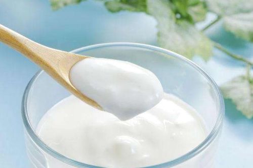 Mỗi ngày một cốc sữa chua thực sự có lợi cho sức khỏe?