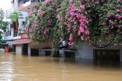 Tỉnh Lào Cai: Mưa to diện rộng kéo dài gây ngập lụt, ảnh hưởng lớn đến đời sống sinh hoạt