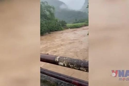 Mưa lớn kèm dông lốc gây thiệt hại nặng nề tại Lào Cai
