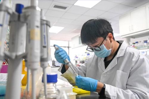 Bên trong 'cuộc chảy máu chất xám ngược' từ Mỹ về Trung Quốc
