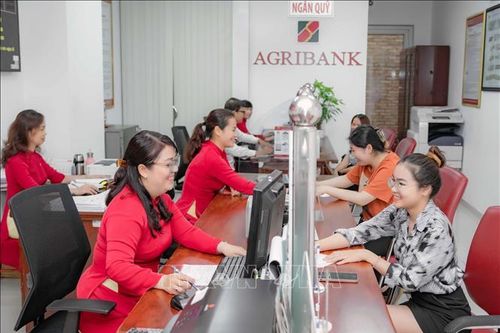 Làn sóng AI: Ngân hàng 'khát' nhân lực số