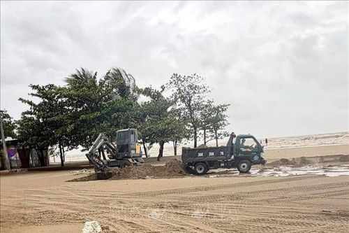 Lợi dụng bão số 10 để khai thác cát biển trái phép ở Sầm Sơn