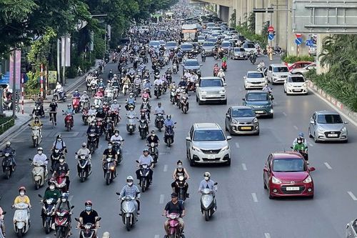VAMA trấn an người tiêu dùng Việt Nam bằng thu hồi Chỉ thị 20