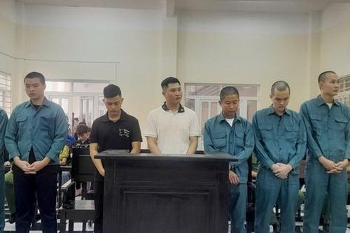 Một cuộc vui, nhiều bản án