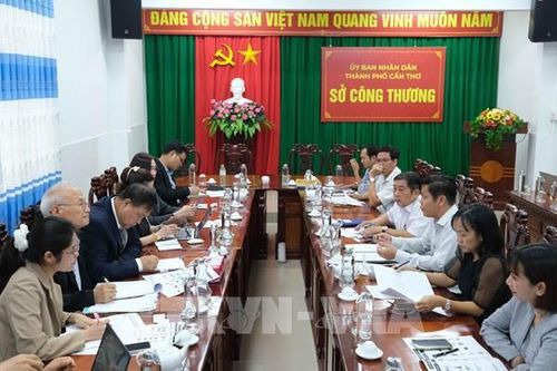 Doanh nghiệp Hàn Quốc muốn xây nhà máy nước ép, chiết xuất dầu từ rơm rạ ở Cần Thơ