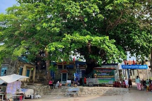 Khánh Hòa: Sẽ hỗ trợ người dân Bích Đầm làm du lịch cộng đồng sau phản ánh của Báo Phụ nữ Việt Nam