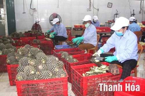 Phát huy nền tảng sẵn có, Thắng Lợi XDNTM nâng cao