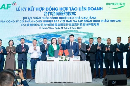BAF và Muyuan cùng rót 12.000 tỷ xây dựng 'chung cư nuôi heo' tại Việt Nam