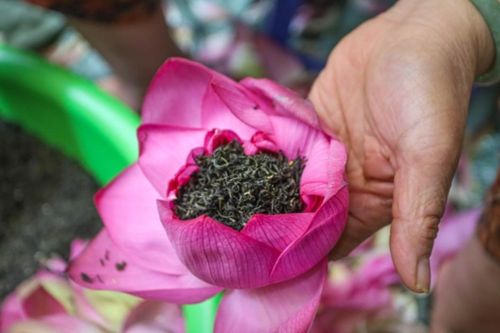 Khi đồ uống kết nối du khách với Hà Nội